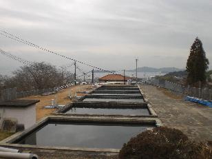 三津浄水場の写真